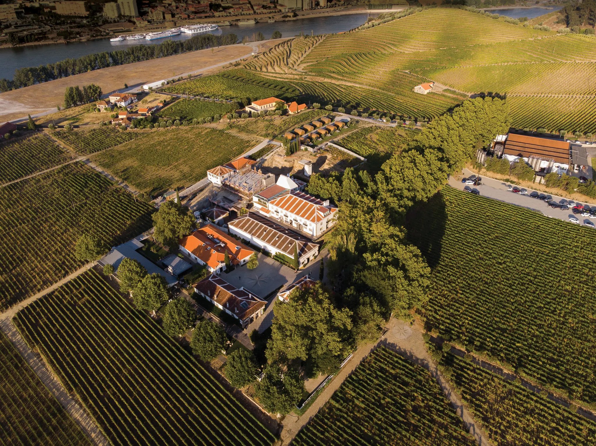 ワイン Huis ten bosch Quinta de Pedralvites Weekly Winery Spotlight: Quinta da Pacheca